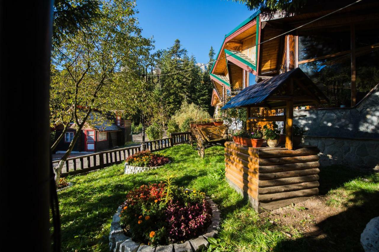 Gura Diham Buşteni Exterior foto